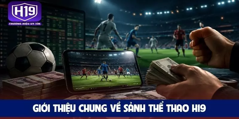 Giới thiệu chung về sảnh thể thao H19
