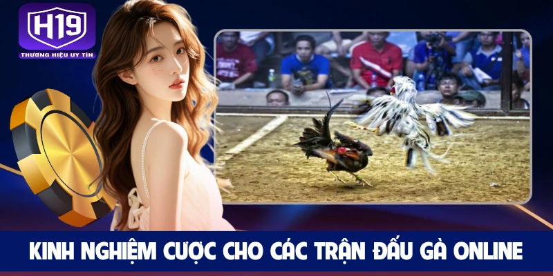 Kinh nghiệm cược cho các trận đấu gà online