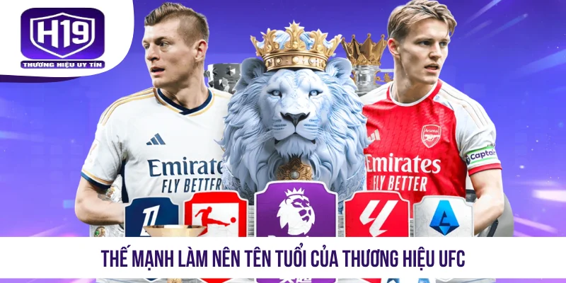 Thế mạnh làm nên tên tuổi của thương hiệu UFC